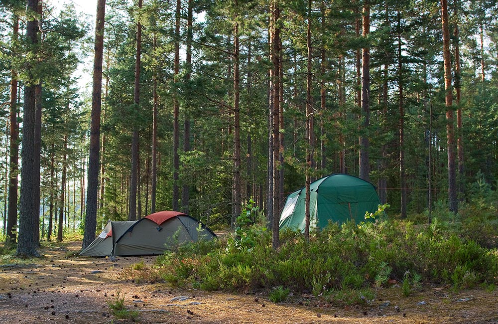 Tommolansalmi campsite tents